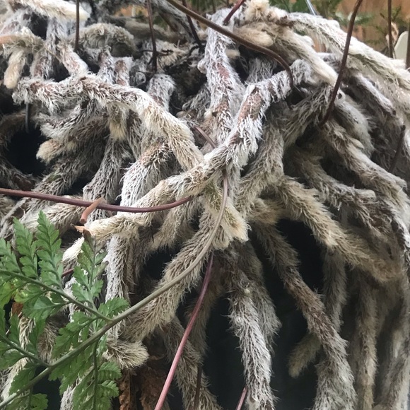 Rough & Tumble Handbags - 😊Extra Discounts Available When Bundled To Save $ 😊